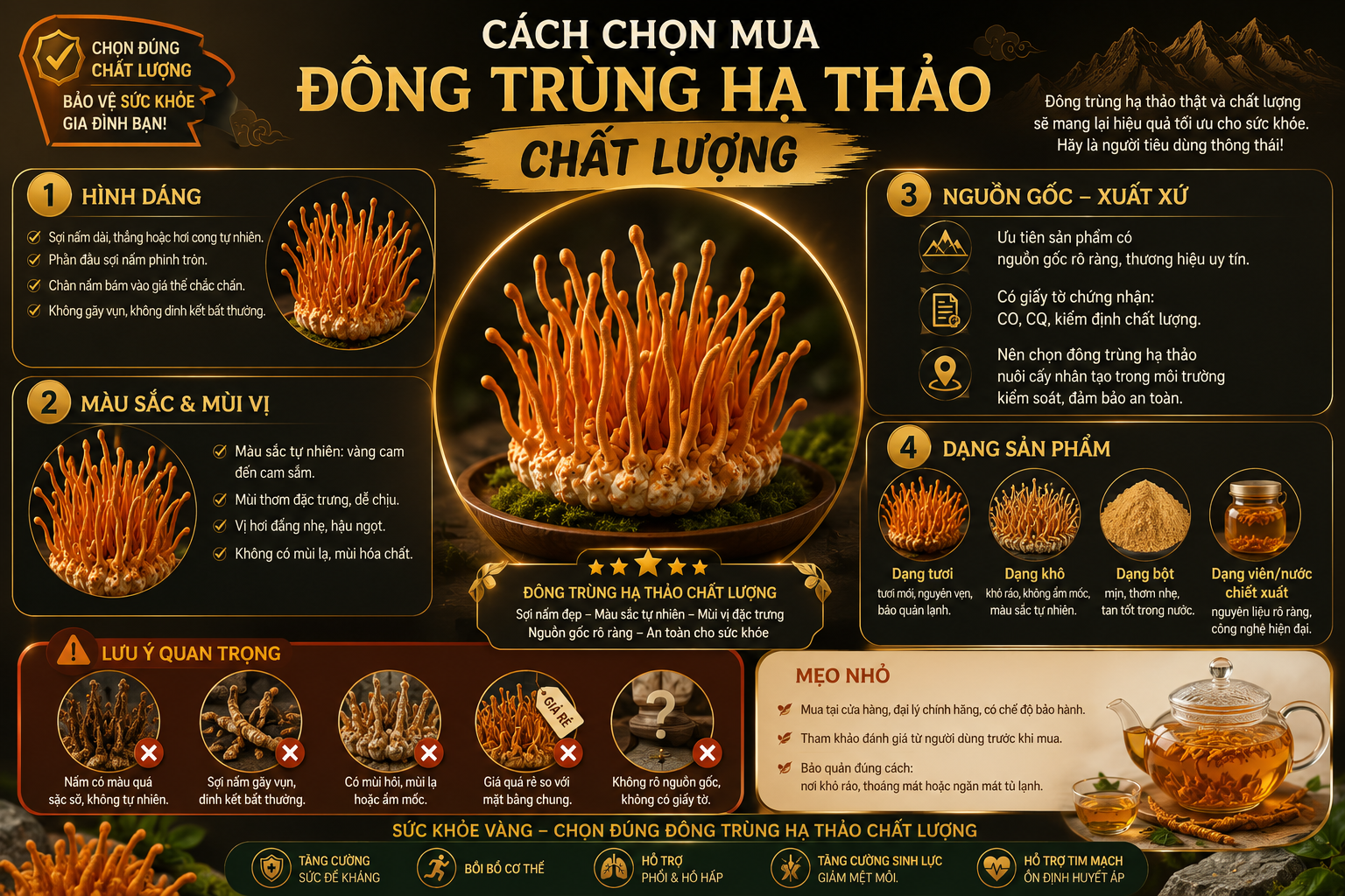 Đông trùng hạ thảo có tốt không