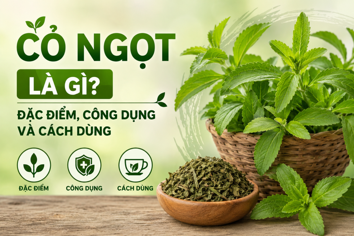 Cỏ ngọt là gì