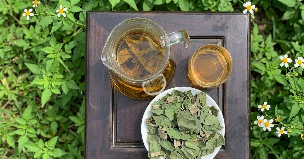 Trà lá sen công dụng