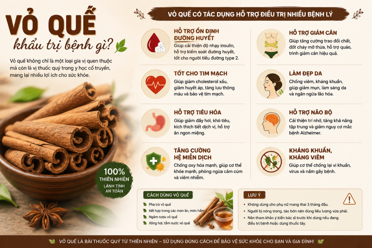 Vỏ quế khâu trị bệnh gì
