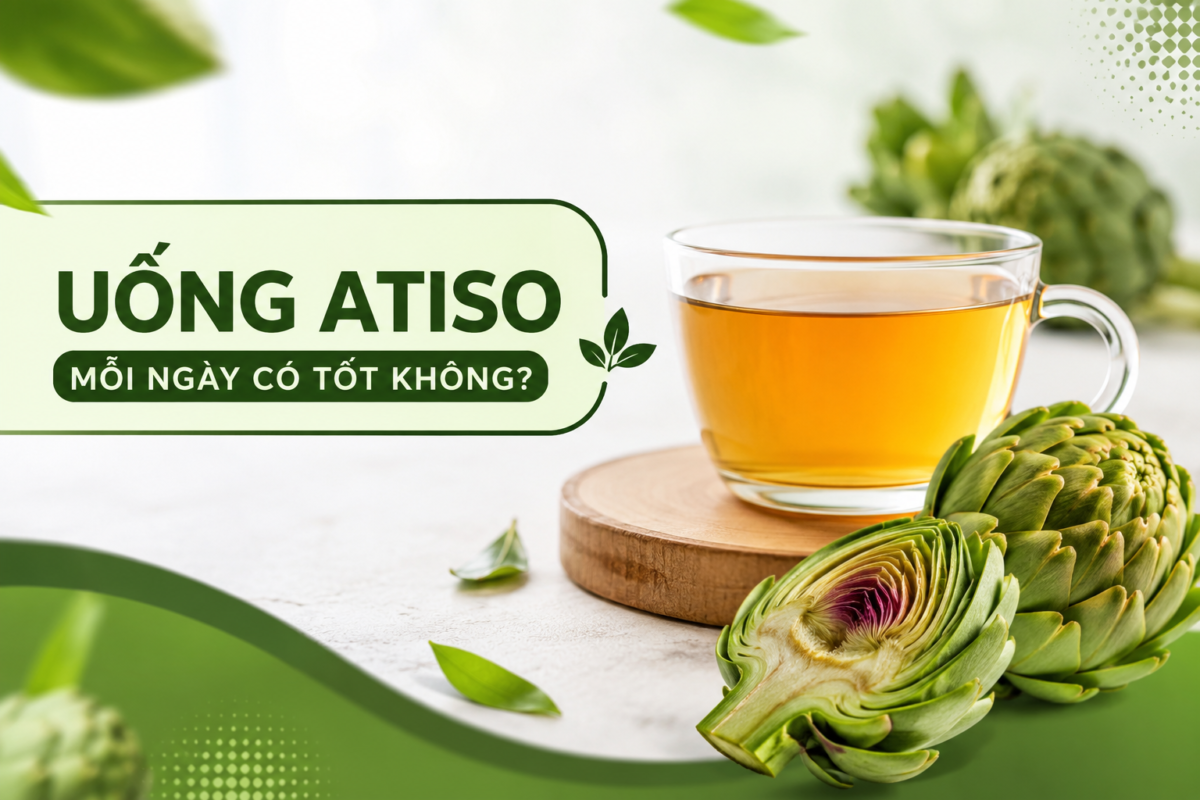 Uống atiso mỗi ngày có tốt không