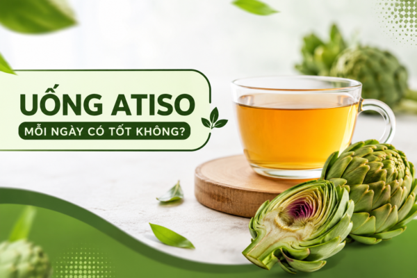 Uống atiso mỗi ngày có tốt không