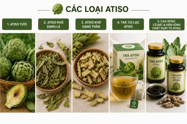 các dạng sản phảm atiso
