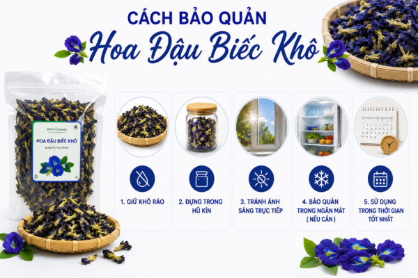 cách bảo quản hoa đậu biếc