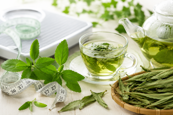 cỏ ngọt có giảm cân không